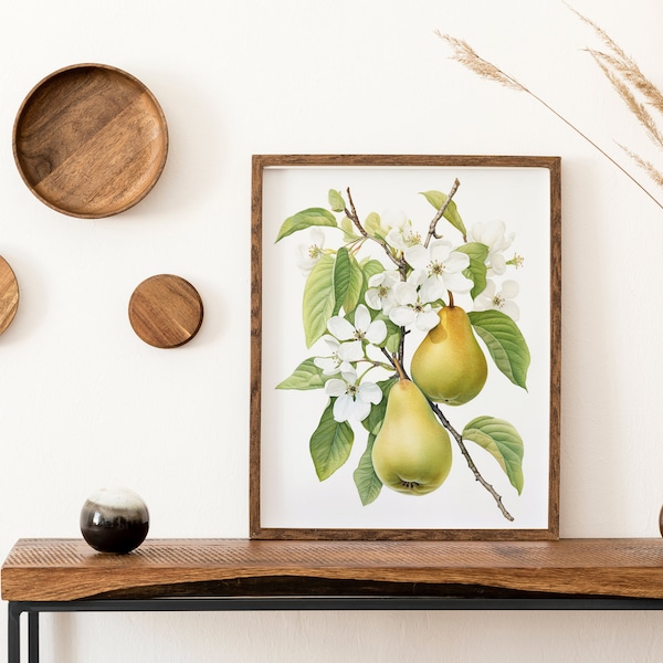 Watercolor Pears Art Print