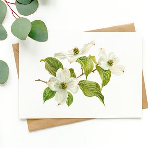 Botanische wenskaart kornoelje (LEGE VERPAKKING VAN 3)