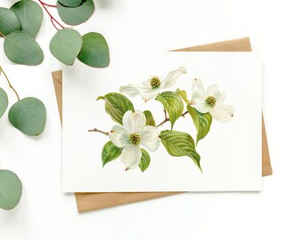 Dogwood Botanical Greeting Card (BLANK PACK OF 3)