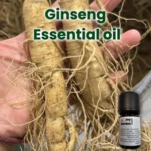 Puede incluir: Imagen de raíces de ginseng con el texto "Ginseng Essential oil". Una pequeña botella negra de aceite esencial "Joy Garden" está en la esquina inferior derecha. Las raíces de ginseng son de color beige y tienen muchas raíces finas y claras.
