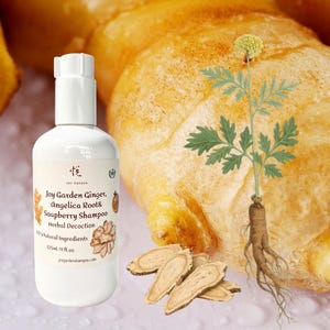 May include: A white plastic pump bottle of Joy Garden Ginger, Angelica Root & Soapberry Shampoo. The label features text, a ginger illustration, and a 325ml/11 fl. oz. volume. Beside the bottle is a large ginger root and an angelica plant.