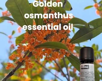 May include: A small bottle of golden osmanthus essential oil with a black label that says "Joy Garden". The bottle is sitting in front of a branch of a tree with orange flowers.