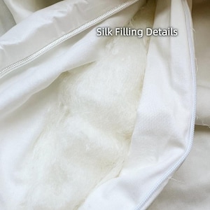 Joy Garden Mulberry Silk Quilt Insert: Natural Unbleached Double Cocoon Silk Comforter