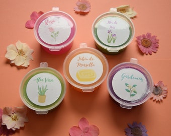 Wax melts Gelatina Aromas Primavera II