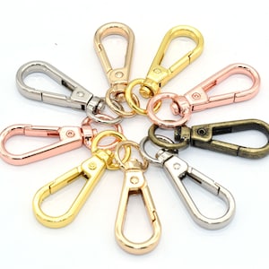 Könnte beinhalten: Eine Sammlung von Metall-Karabinerverschlüssen in verschiedenen Farben, darunter Silber, Gold, Roségold und Bronze. Diese Verschlüsse sind kreisförmig angeordnet und zeigen ihre unterschiedlichen Oberflächen. Ideal für Schmuckherstellung und Bastelarbeiten.