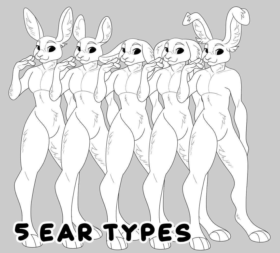 Rabbit Reference Sheet Base - Etsy