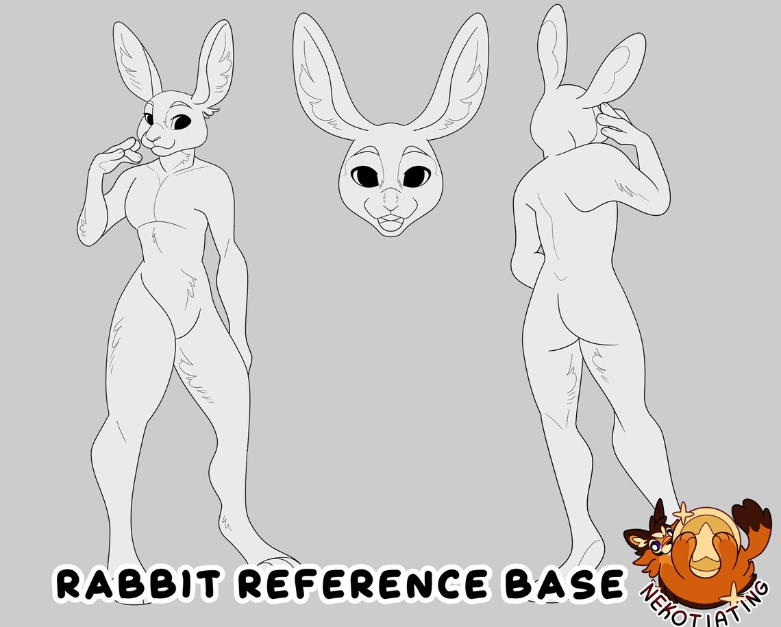 Rabbit Reference Sheet Base - Etsy