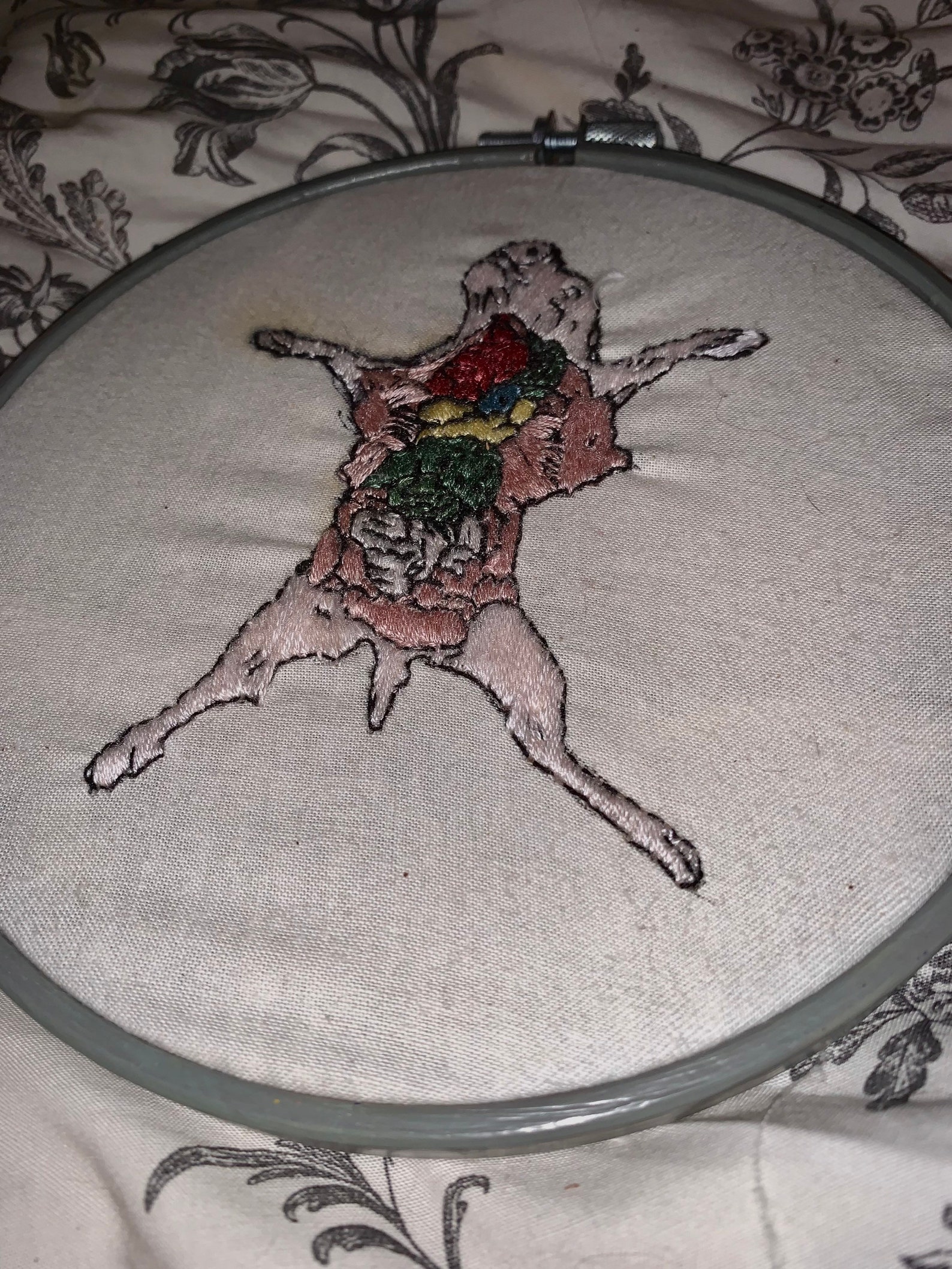 Fetal Pig Dissection Embroidery Etsy