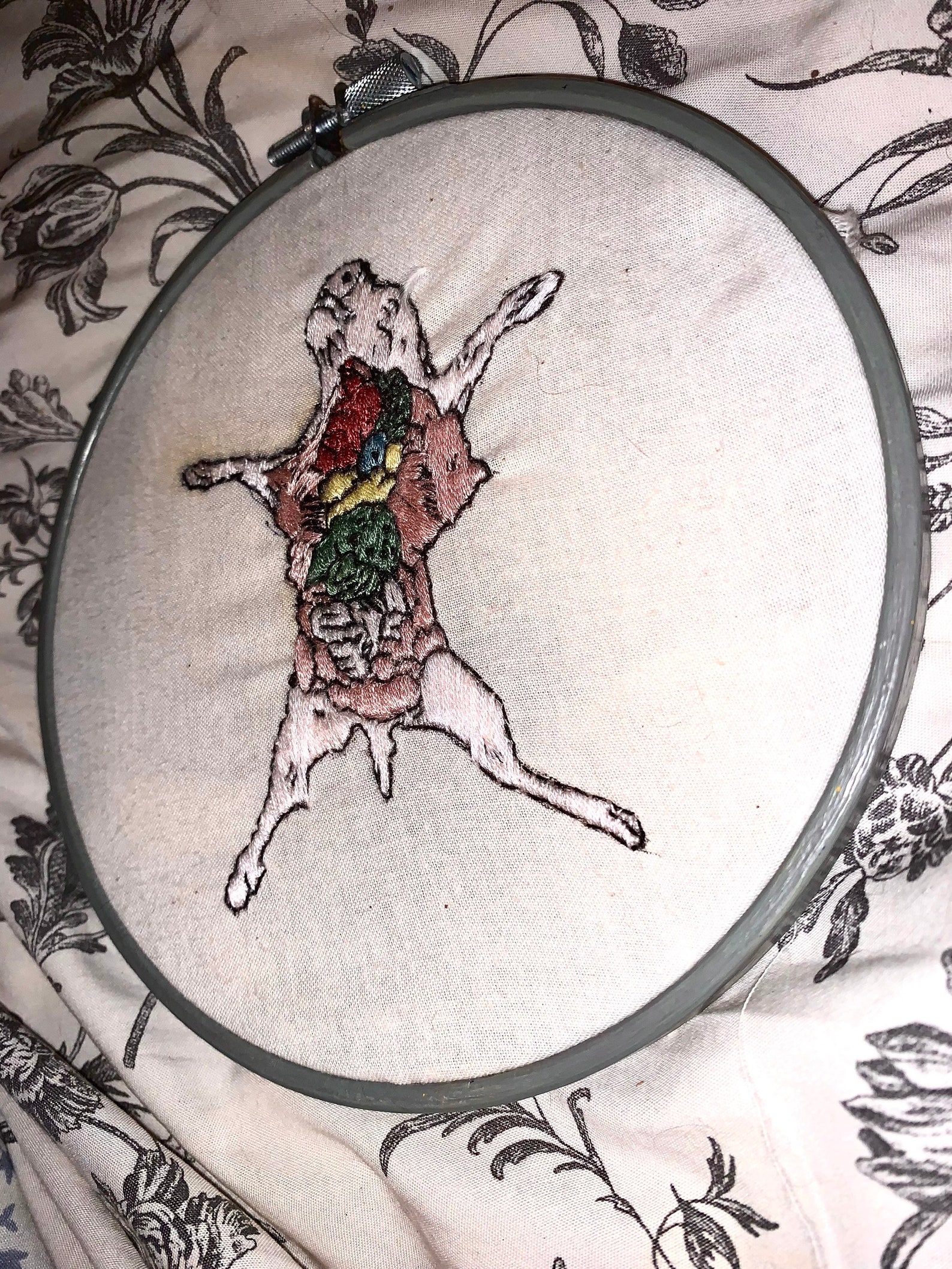 Fetal Pig Dissection Embroidery Etsy