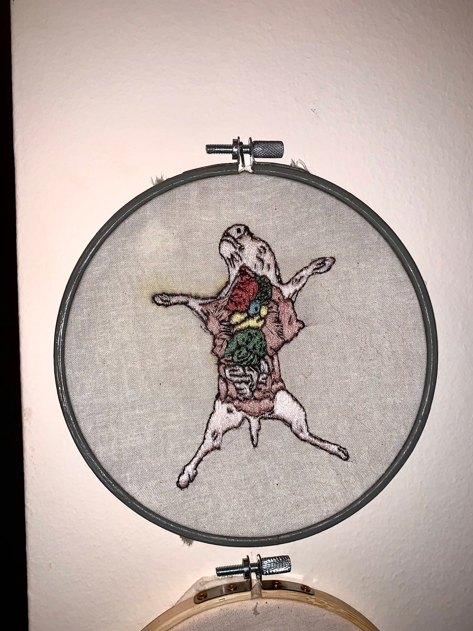 Fetal Pig Dissection Embroidery Etsy