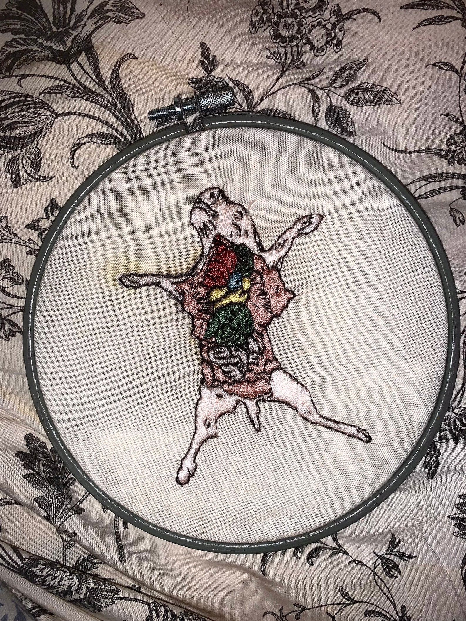 Fetal Pig Dissection Embroidery Etsy