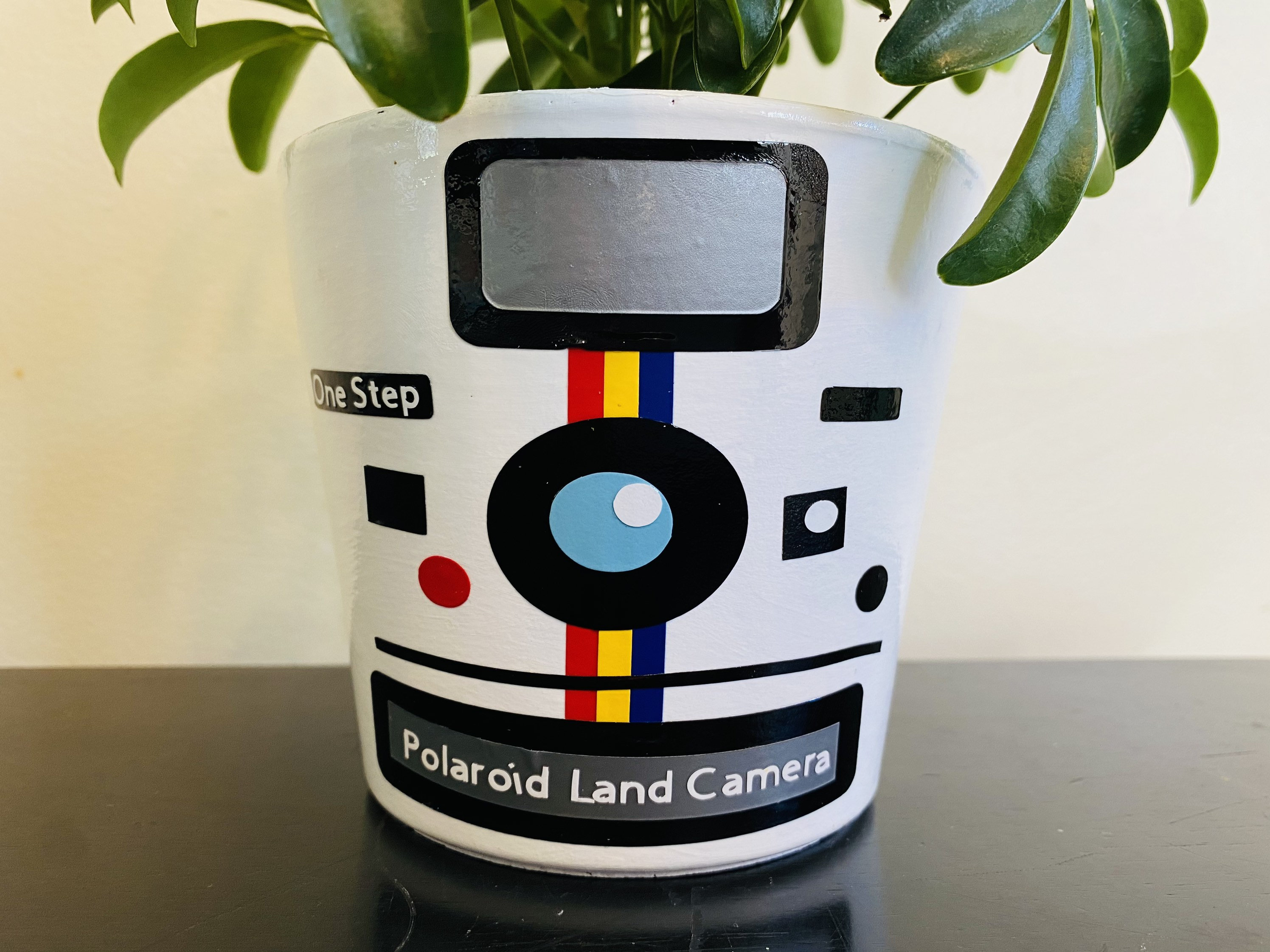 Polaroid OneStep Land Camera Plant Pot 4 inch Etsy