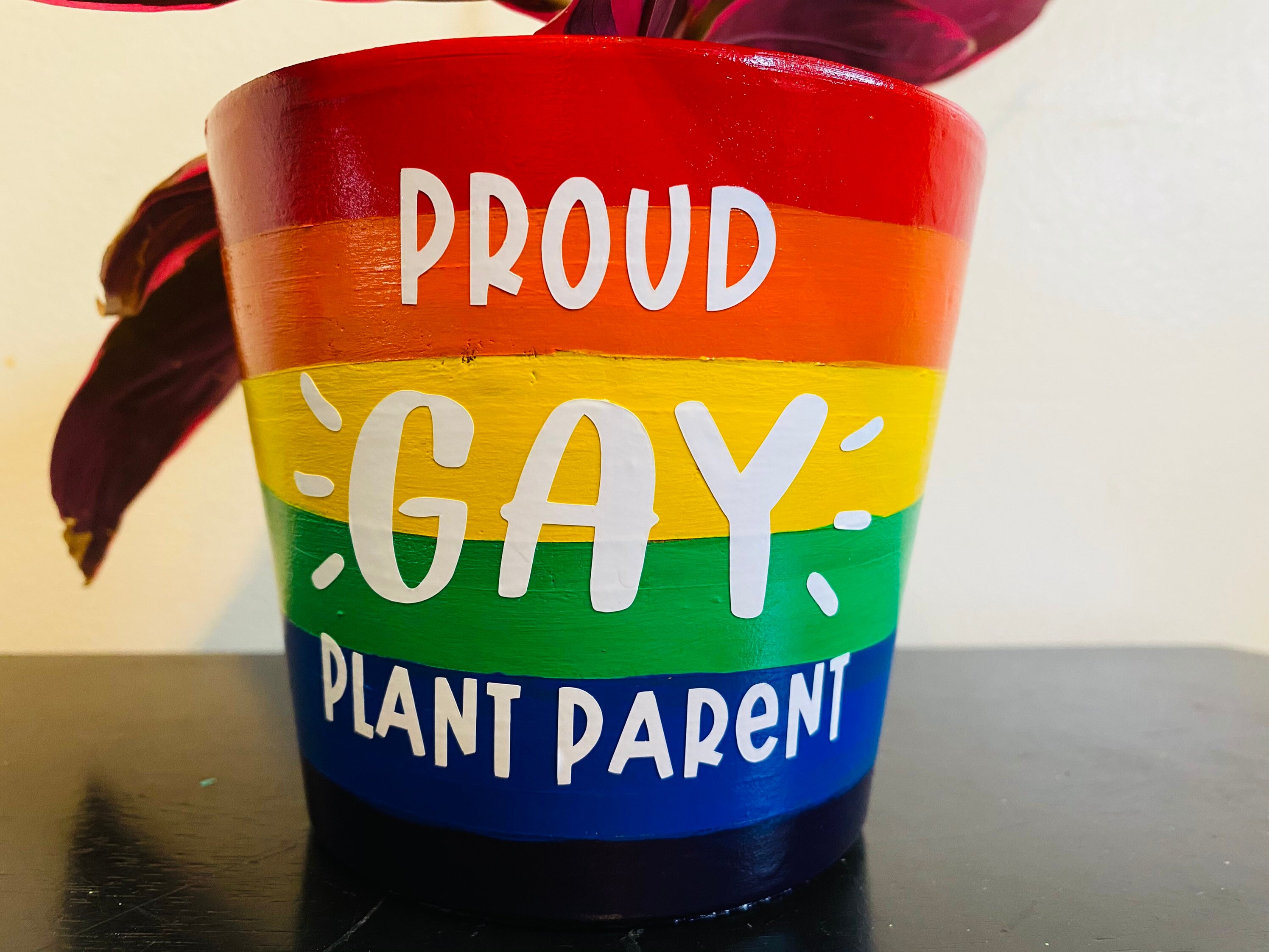 Proud Gay Plant Parent Plant Pot 4 inch Etsy