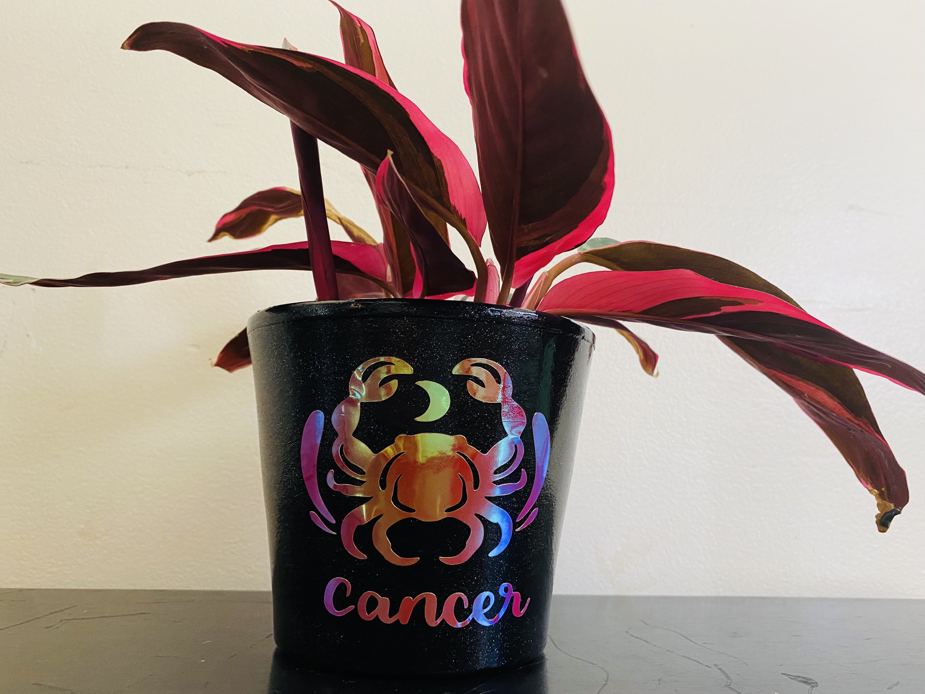 Cáncer Zodiac Plant Pot 4 pulgadas Etsy