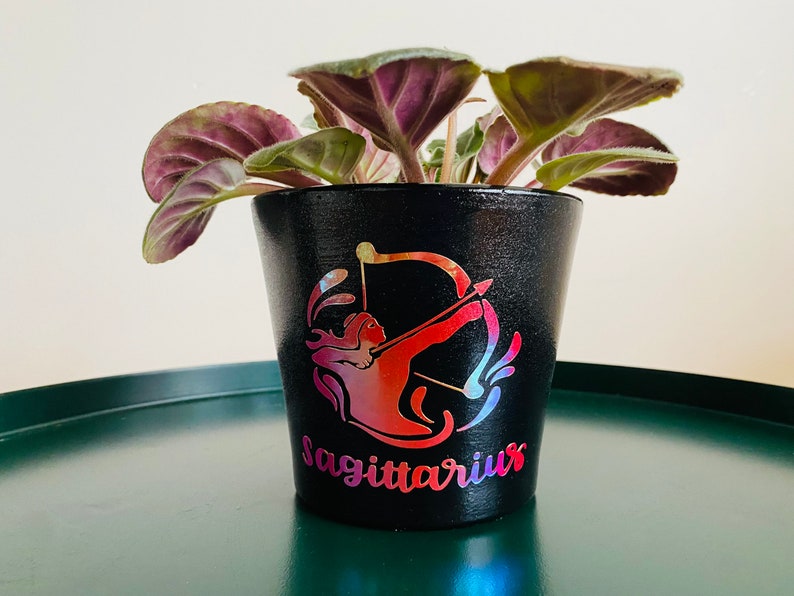 Sagittarius zodiac plant pot 4 inch Etsy
