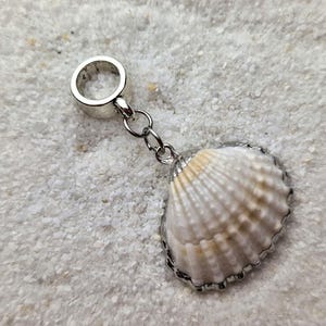 Può includere: Un ciondolo in metallo color argento con una conchiglia naturale striata. La conchiglia è di colore bianco sporco con delicate sfumature marroni e beige. È fissata a un anello metallico circolare tramite un piccolo e sottile anello di catena.