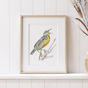 Meadowlark Watercolor - digital download