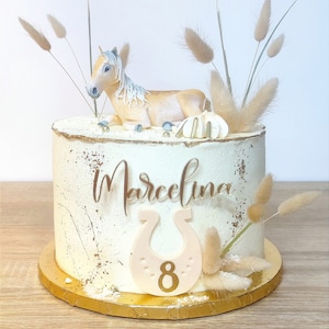 Nome personalizzato della decorazione laterale della torta Versione Funky Decorazione laterale per torta personalizzata Decorazioni per torte per il compleanno Decorazione di compleanno immagine 6