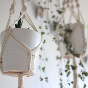 May include: A white ceramic plant pot with a textured surface is suspended in a cream-colored macrame plant hanger. The plant pot contains a small green plant. Another plant hanger is visible in the background.