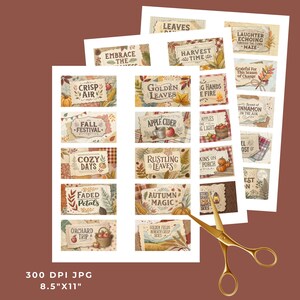 Puede incluir: Una colecci&oacute;n de ef&iacute;meras de papel con tem&aacute;tica oto&ntilde;al con etiquetas como "Crisp Air", "Apple Cider" y "Autumn Magic". Los dise&ntilde;os presentan elementos oto&ntilde;ales como calabazas, hojas y manzanas. El tama&ntilde;o del papel es de 21.59cm x 27.94cm.