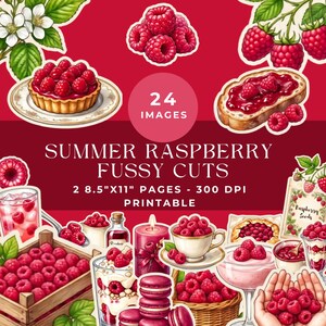 Könnte beinhalten: Eine digitale Sammlung von 24 Himbeer-Illustrationen mit Früchten, Gebäck, Getränken und Kerzen auf rotem Grund. Der Text umfasst SUMMER RASPBERRY FUSSY CUTS, 24 IMAGES, 2 21,6cm x 27,9cm SEITEN, 300 DPI, PRINTABLE und Raspberry Seeds.