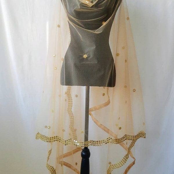 Silver Embellished Cut-Work Net Dupatta main image 0