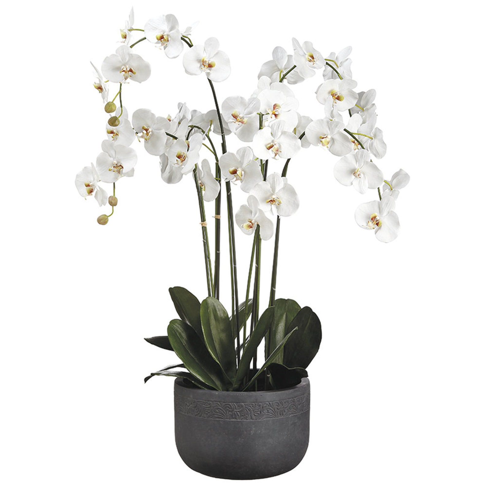 Large White Silk Orchid Arrangement Etsy