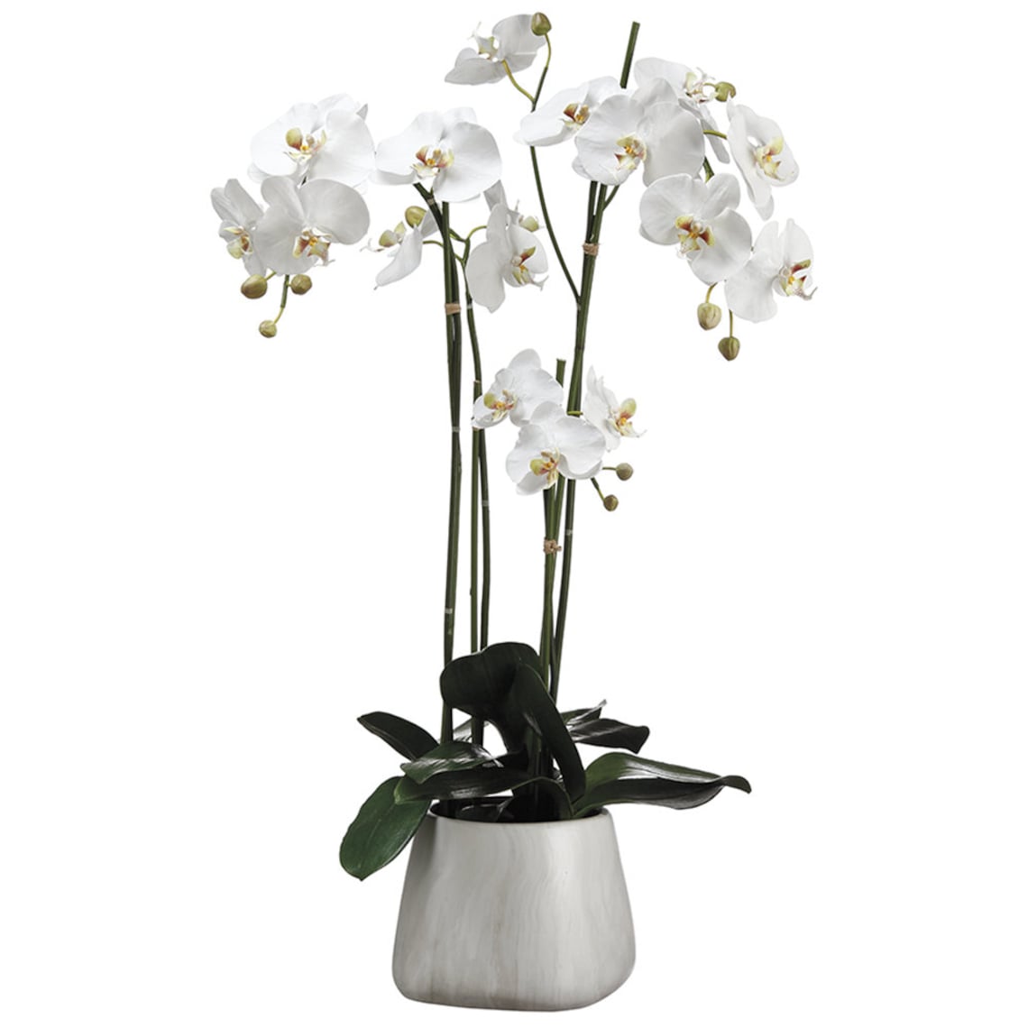 Large Silk White Orchid Arrangement Etsy