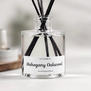Reed Diffuser for home or office | Long Lasting Home Fragrance | Modern Minimalist Decor | Flameless Scent Diffuser | Housewarming Gift