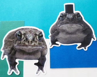 Fefe The Toad Stickers