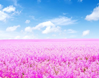 Printable Art | Blue Sky Pink Fields