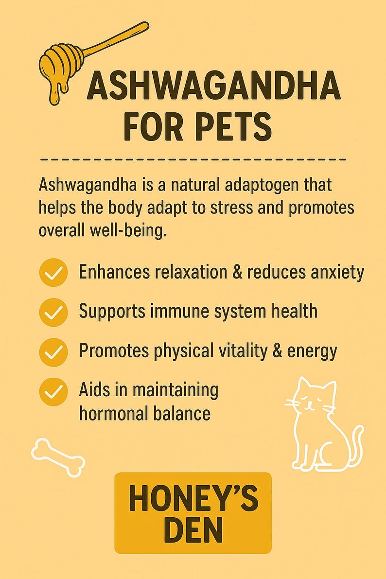 May include: A promotional graphic in yellow and white for Ashwagandha for pets. The text details benefits such as reduced anxiety and immune support. Features a honey dipper, a cat outline, and the text "Honey's Den."