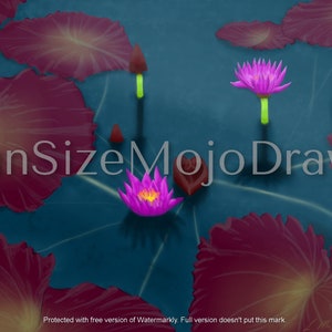 Lilies