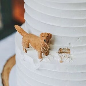 Personalized Custom Dog Wedding Cake Topper, Pet Birthday, Dog Birthday Cake Topper, Cat Cake Topper, Pet Anniversary, Pet Decorations