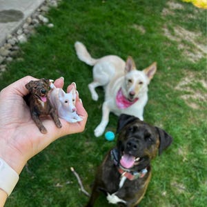 Adornos para tarta de boda personalizados para perros, estatuas para mascotas, cumpleaños de perros, decoraciones para bodas de mascotas, adornos para tartas de gatos, regalos para perros, adornos para tartas personalizados para mascotas.