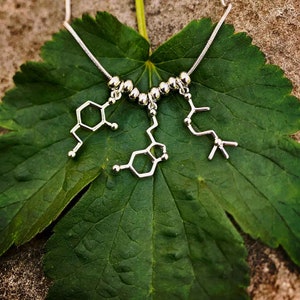 Serotonin, Dopamine, & Acetylcholine Necklace | Science Biology Neuroscience Neurotransmitter Brain Molecule Jewelry, Unique STEM Gift