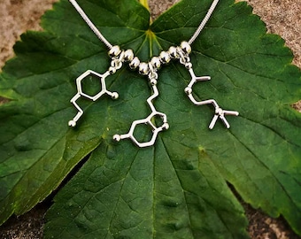 May include: A silver necklace with three molecular structure pendants hanging from it. The necklace is on a green leaf.