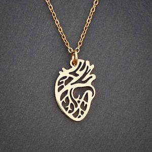 Anatomisches Herz Halskette | Wissenschaft Biologie Medizin Kardiologie Anatomie Schmuck, Einzigartige STEM Anhänger Geschenk für Krankenschwester oder Arzt, Inspirational