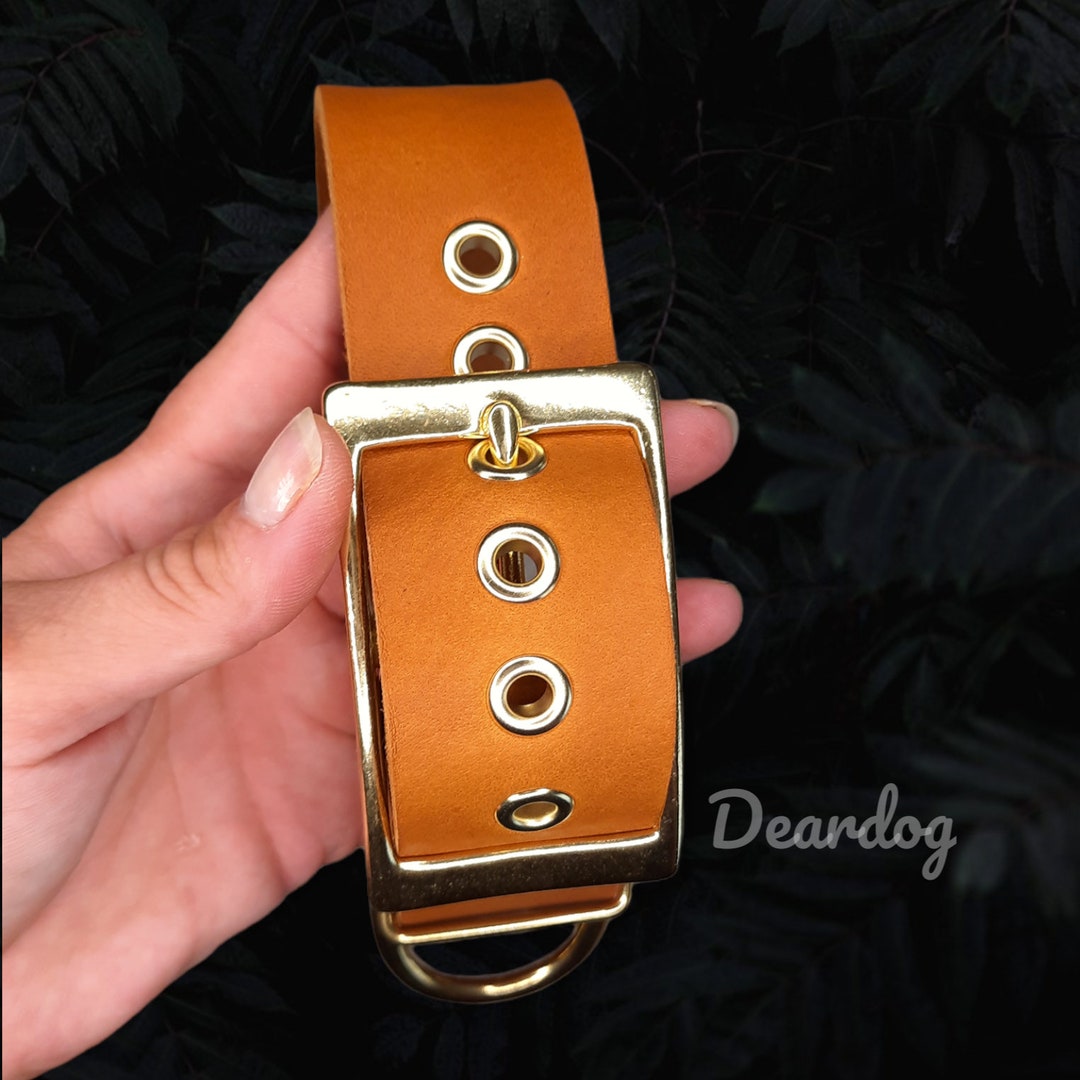 Leather Collar 4 Cm Wide/cognac/light Brown/collar/dog Collar Etsy