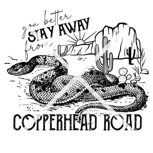 Copperhead Road PNG Stay Away From Copperhead Road Band Tee Etsy