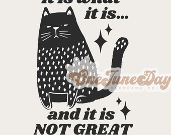 It is what it is and it is not great PNG for Sublimation funny cat retro cat mom png