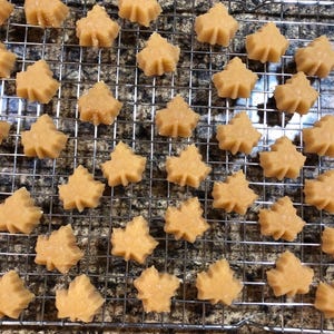 Caramelle allo zucchero d'acero puro del Minnesota