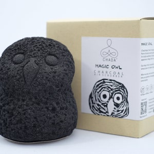 Chada Magic Owl, Activated Charcoal,Decorative Deodorizer for Your home, office with Powerful Activated Charcoal nationally freshen air