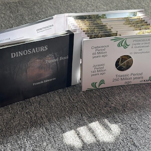 Libro infantil, LIBRO DEL TÚNEL DE DINOSAURIOS, Hecho a mano y ensamblado, Creador: Francis Edwards