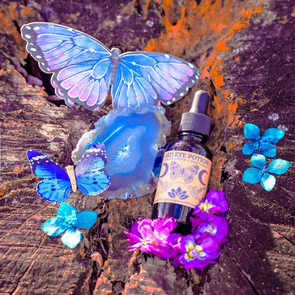 3RD EYE POTION, lucid dream herb, dream herb tincture, guayusa, blue lotus, mugwort, calea, dream herbal extract, lucid dream, astral travel