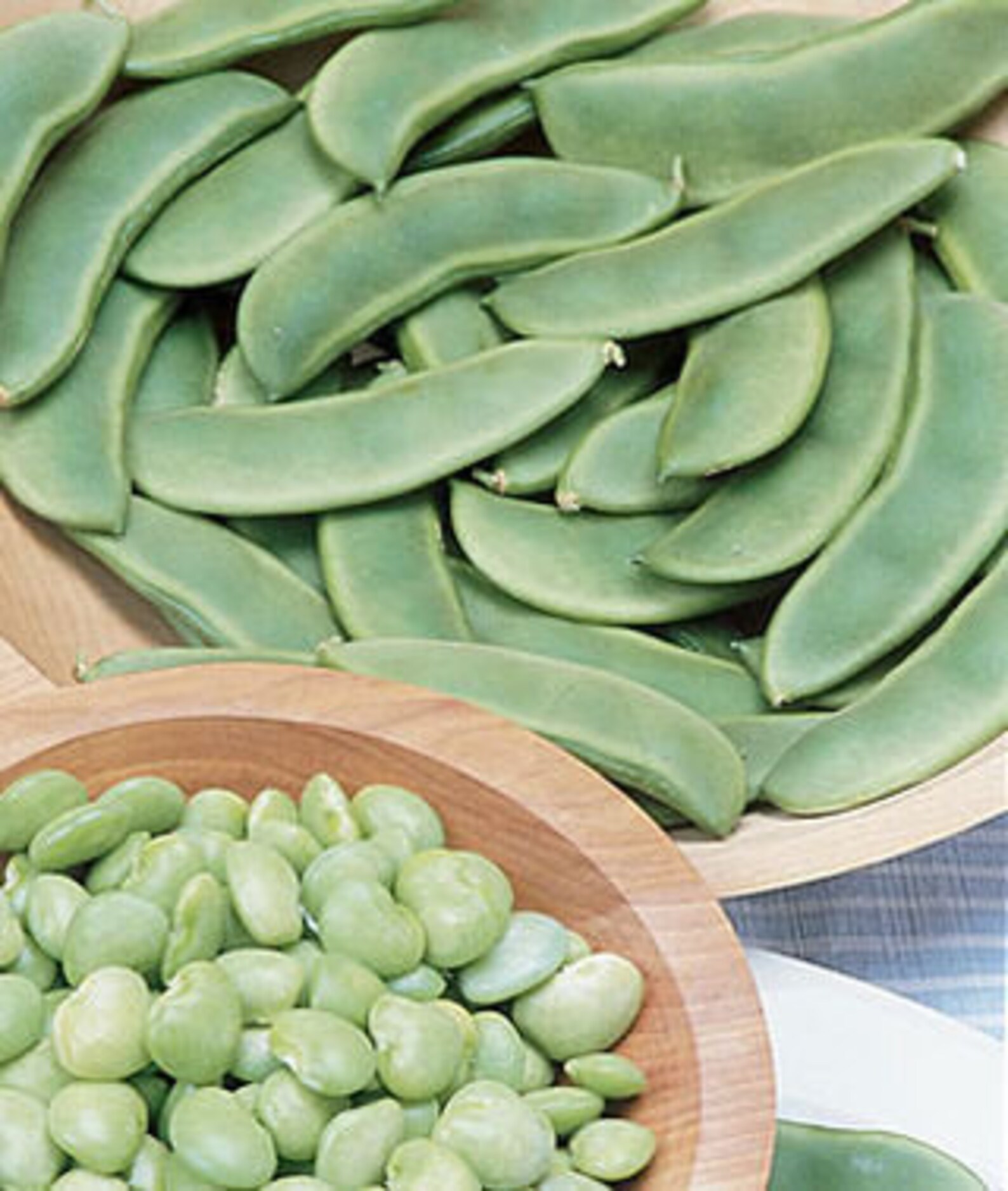 Fordhook Lima Beans 242 Seeds....nice Big Beans Etsy