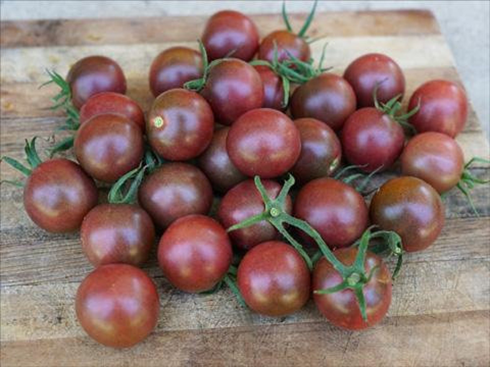 Black Cherry Tomatoes 50 Seeds Etsy black-cherry-tomatoes-50-seeds-etsy