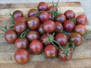 Graines De Tomate Cerise Noire (Black Cherry) - 10 Graines - Variété Productive Et Savoureuse