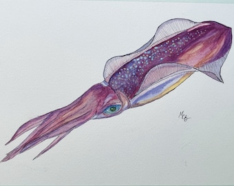 Caribbean Reef Squid set of 5 folded notecards & envelopes. The design is a reprint of my watercolor painting of a Caribbean Reef Squid.