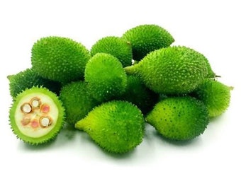 Spiny Bitter Gourd Etsy